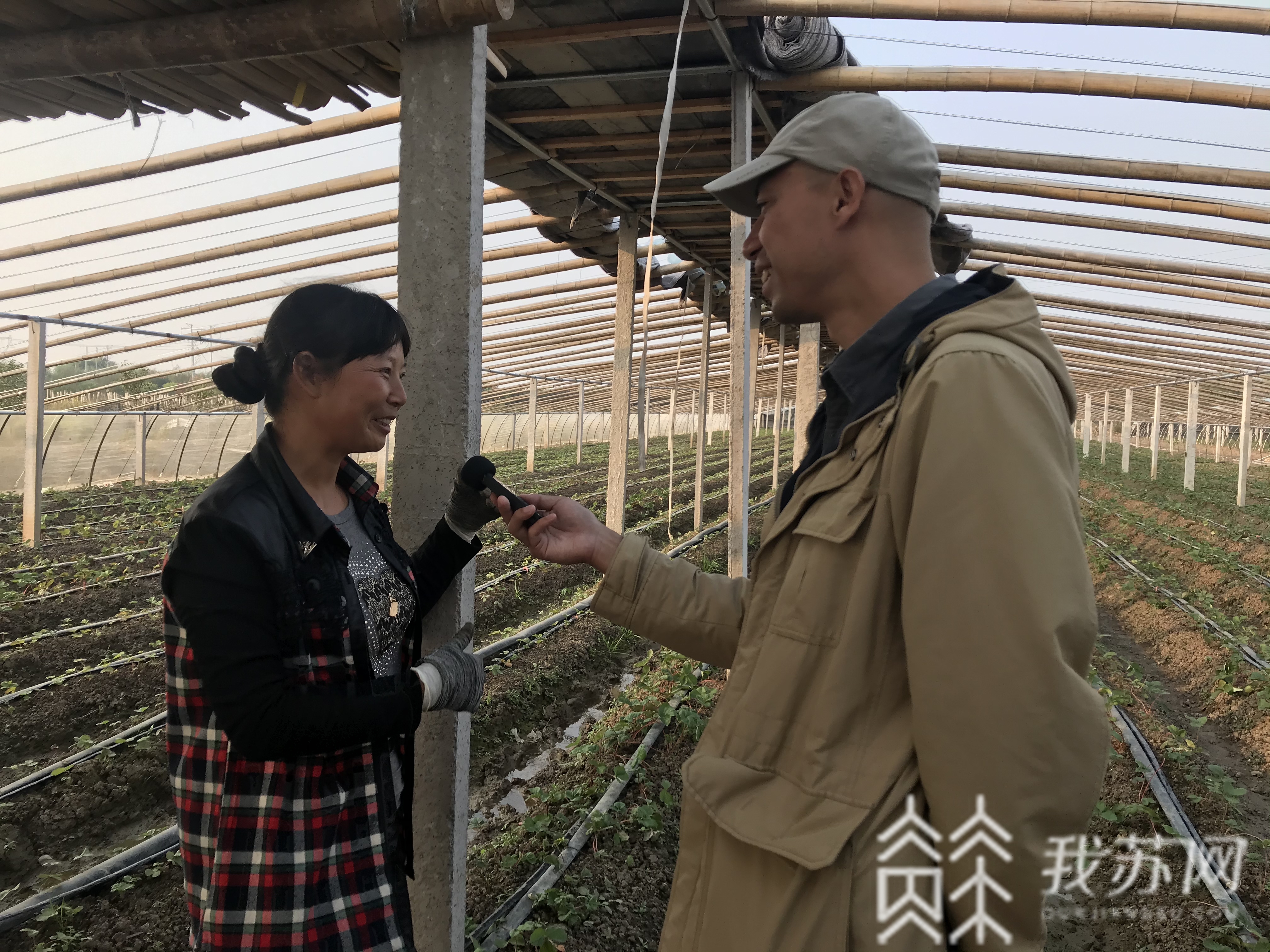 『潮河』潮河湾变身新晋网红|秋到农家 “三朵花”扮美乡村大地