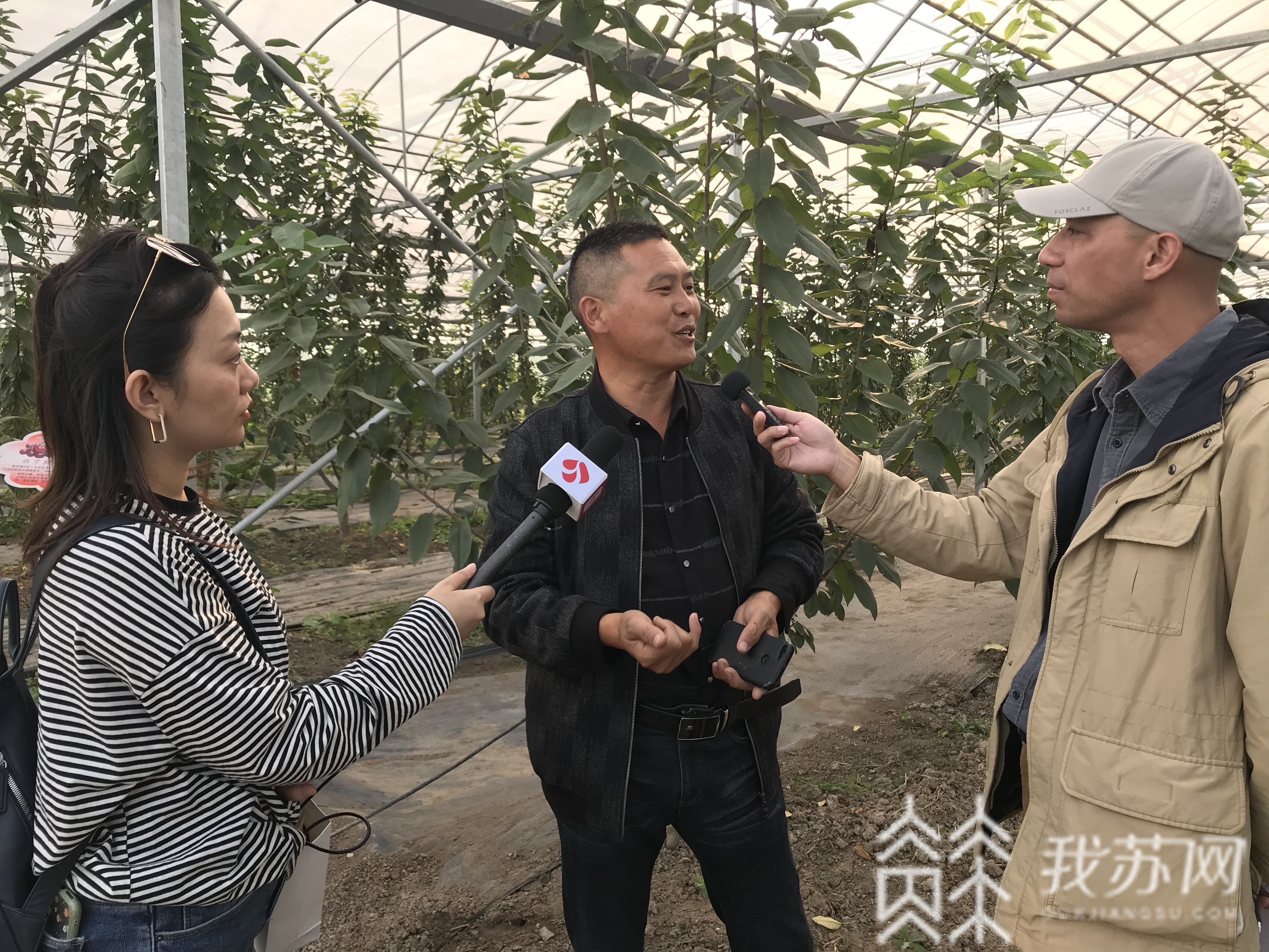 『潮河』潮河湾变身新晋网红|秋到农家 “三朵花”扮美乡村大地