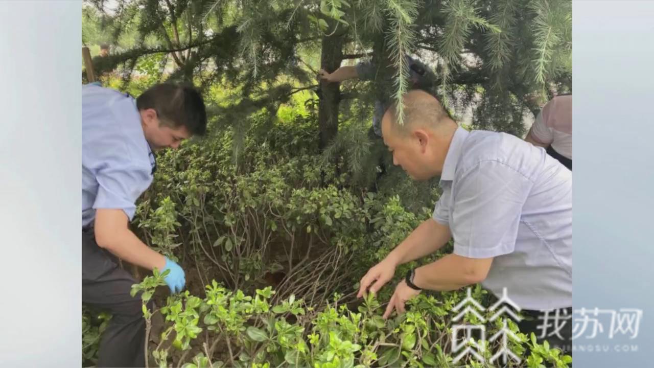 黄金@价值两百余万 特大盗窃黄金案告破：774件首饰全部追回