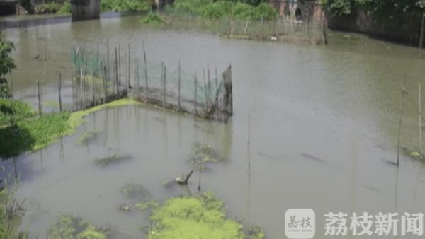 以水为媒两岸拂绿 经纬间打造城区“生态绿肺”