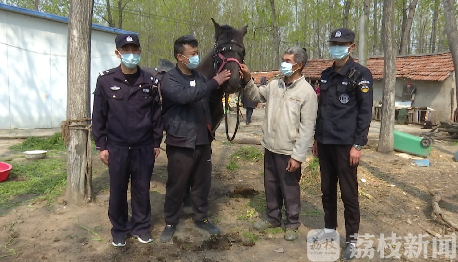 大爷：民警放马认亲确认失主 大爷捡到“宝马”