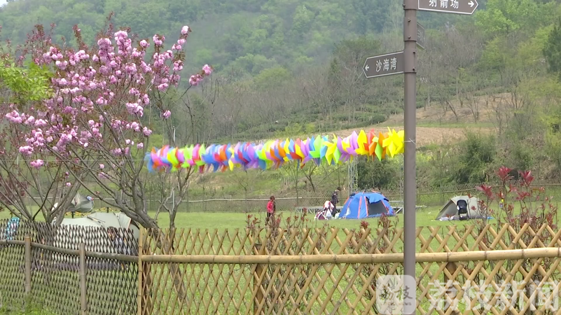 「旅游」乡村旅游人气回升 春暖花开