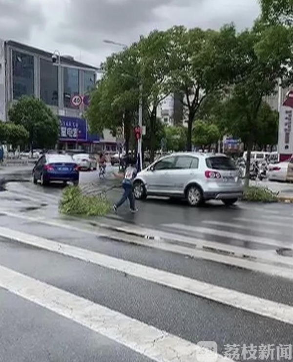 好样的！树枝折断横躺路中 好少年徒手清障