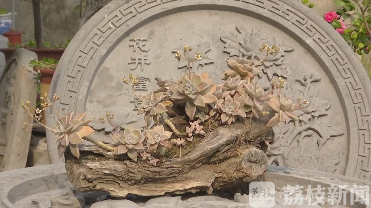 #砖雕#复古又新潮 非遗传承人琢磨出盆景配砖雕