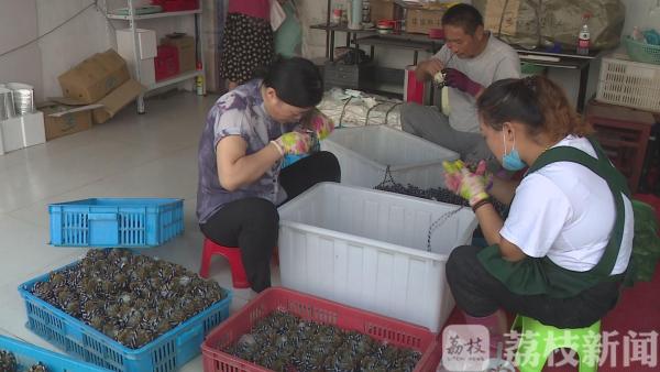 遭遇中秋消费高峰 洪泽湖大闸蟹日销售10万斤堪比“春运”