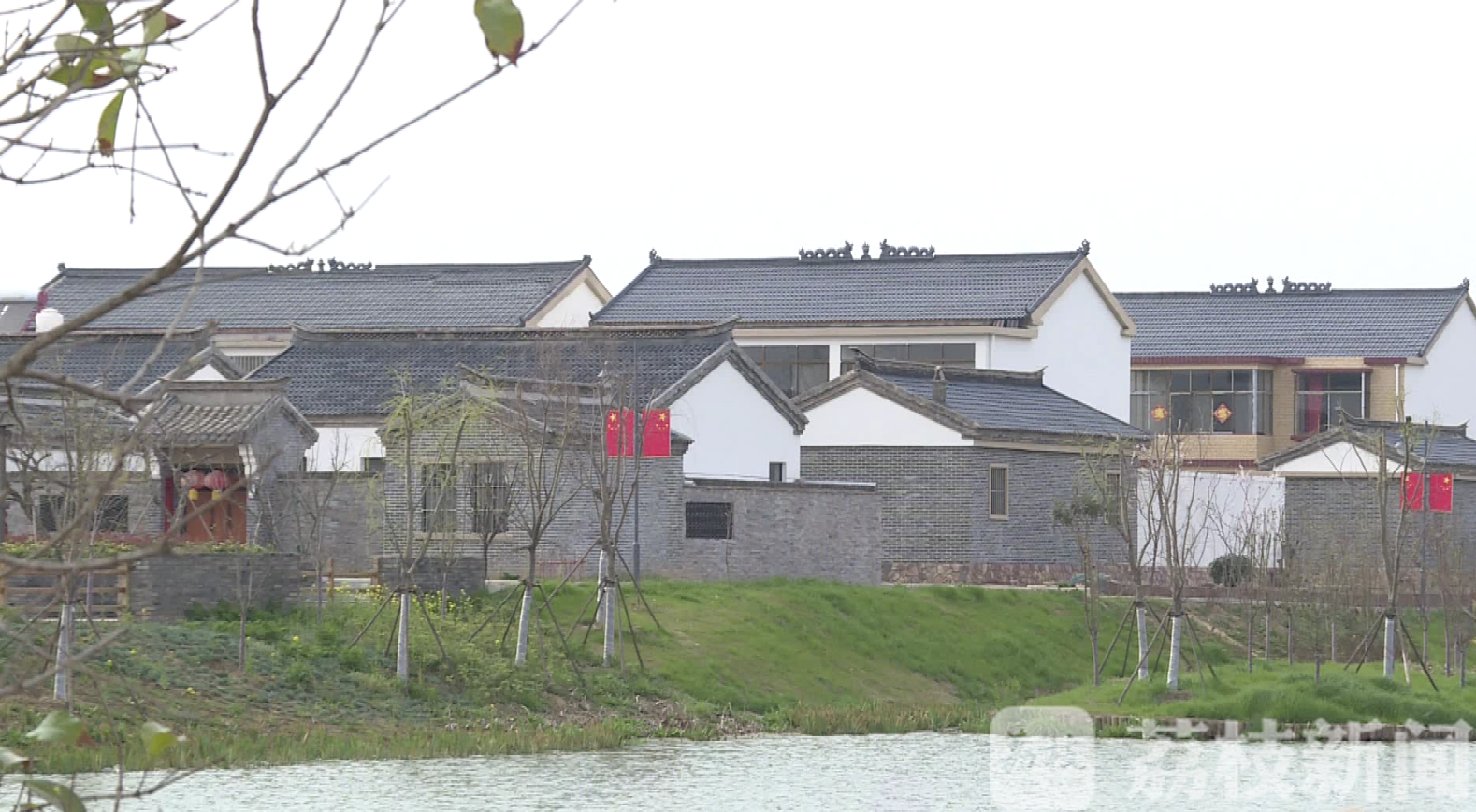 庭院■江苏宿豫：“五美庭院”让乡村有颜值更有气质