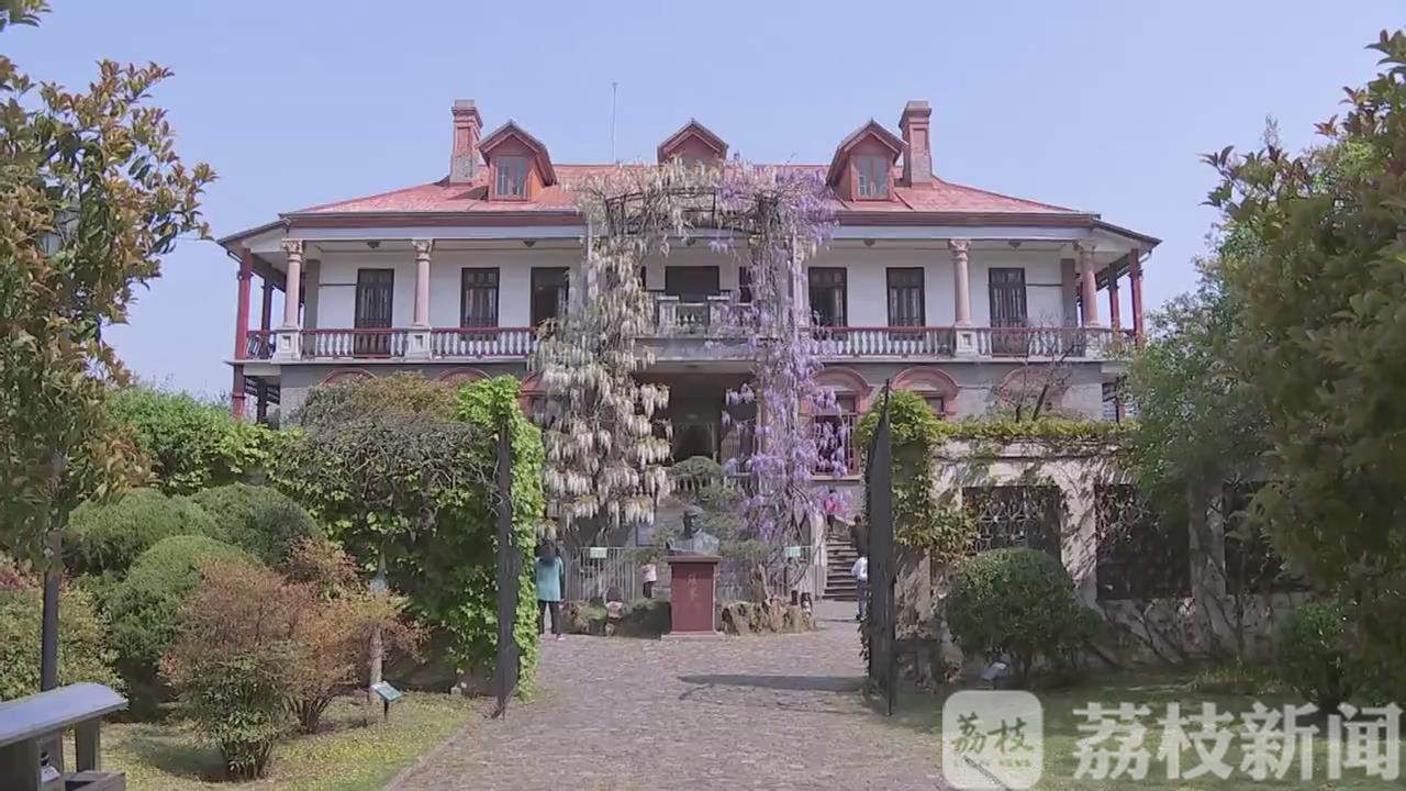 紫藤■花蔓飘香宜阳春 百年紫藤挂云木