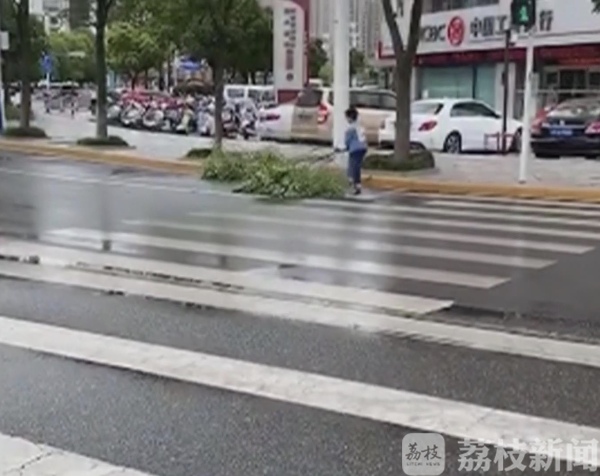 好样的！树枝折断横躺路中 好少年徒手清障