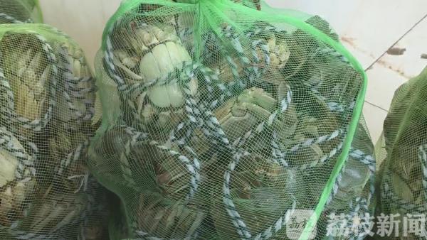 这个中秋你吃螃蟹了吗？“膏满黄肥”还需等一等