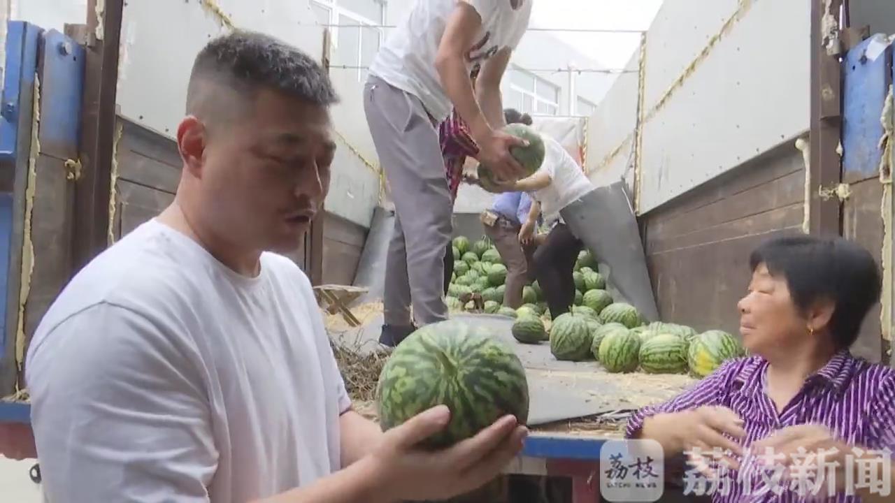 「」日均销售过万东台西瓜线上大卖