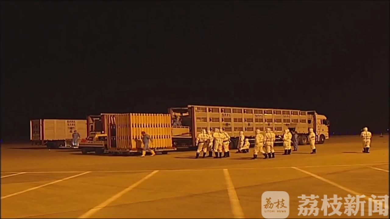 连云港■今年首批进口238头英国种猪抵连云港