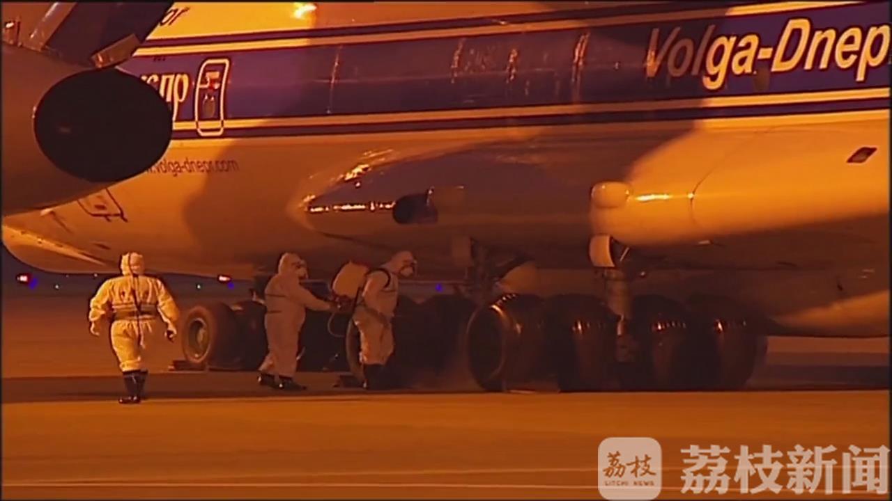 连云港■今年首批进口238头英国种猪抵连云港