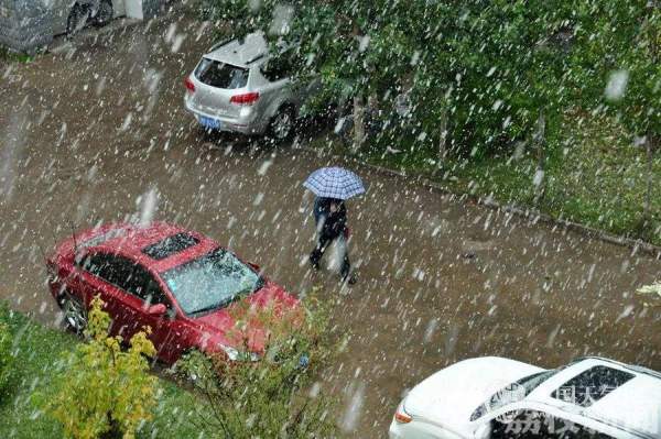 大雾、雨雪、大风、降温 未来一周江苏天气好刺激！