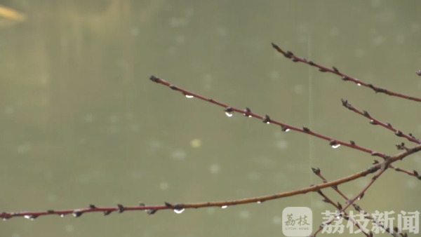 春节天气：江苏明后天迎雨雪