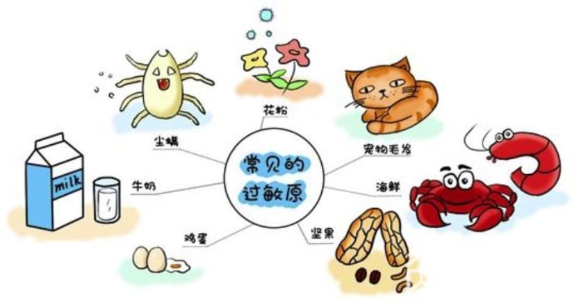 「过敏」医生的这些“防敏”建议请查收 世界过敏性疾病日