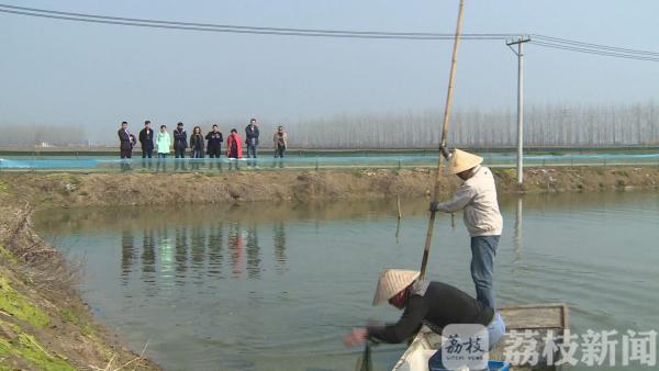 全国第一单 泗洪探索小龙虾价格指数保险理赔