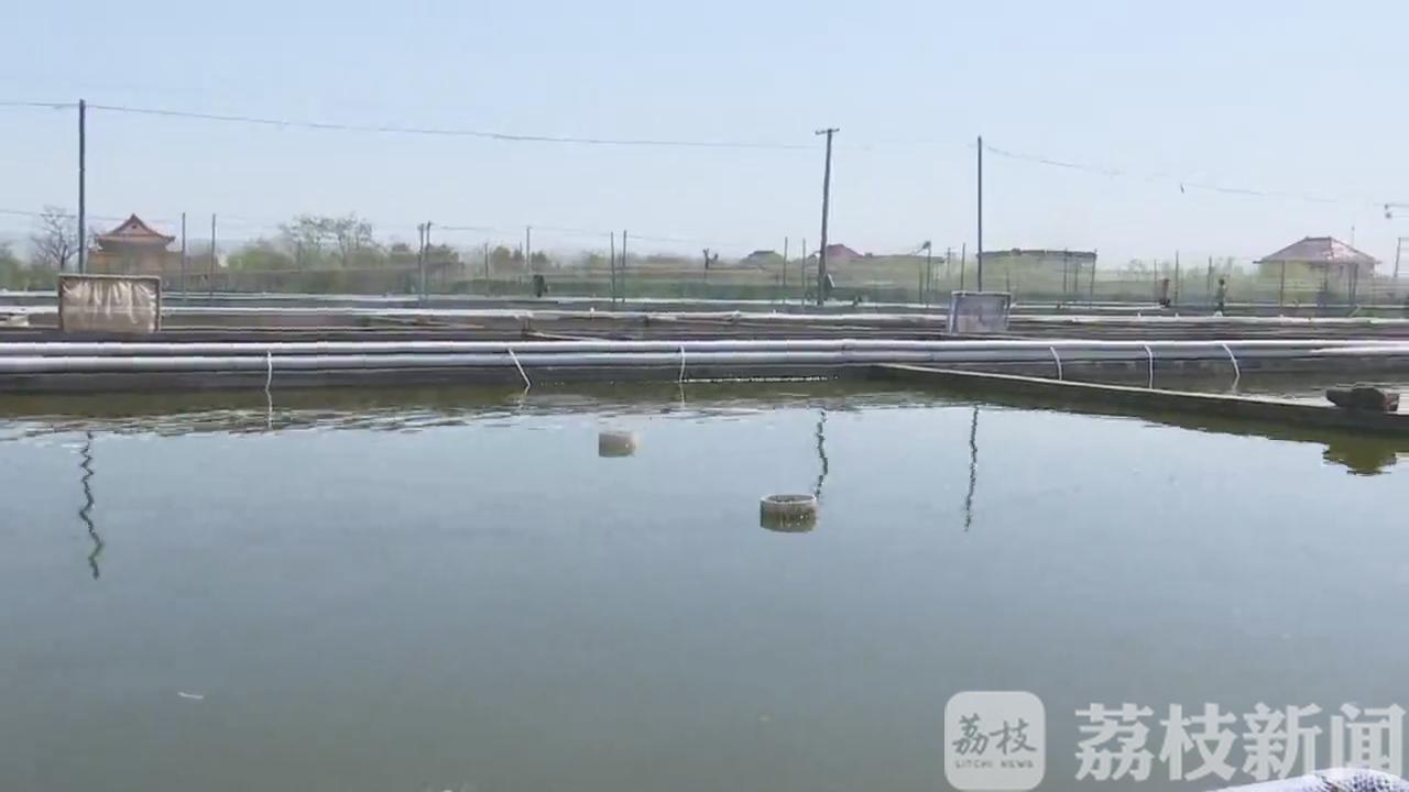 「观赏鱼」 养殖户另辟国内市场寻出路 800万尾观赏鱼滞销