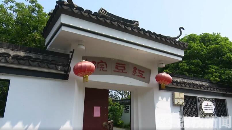 [红豆]千年红豆树现三株齐放盛景 时隔五年再吐蕊