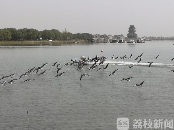 盐城发布十条自驾游线路，喜欢自驾畅游的你心动了吗？