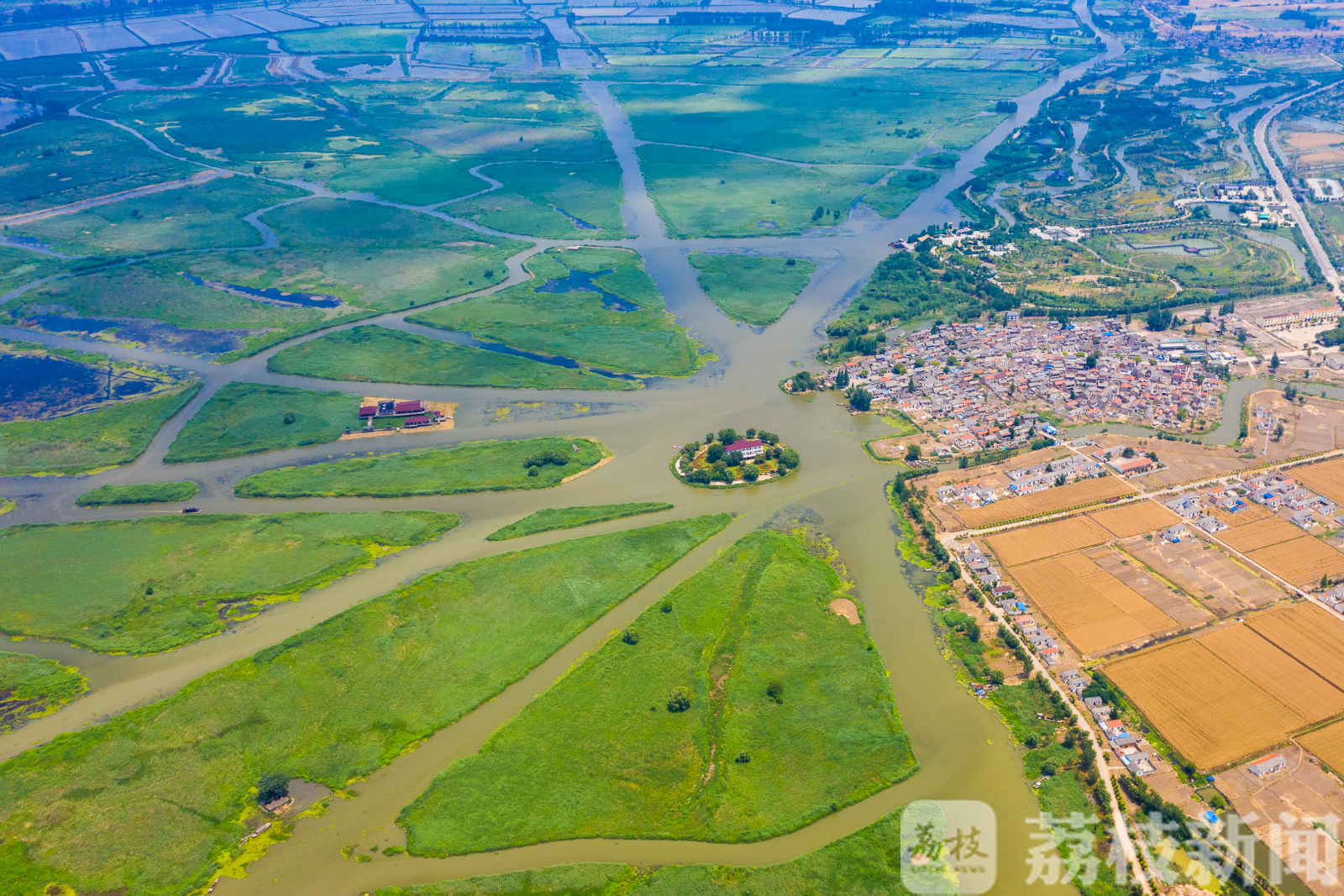 湿地■盐城九龙口：湿地修复引来万鸟栖息