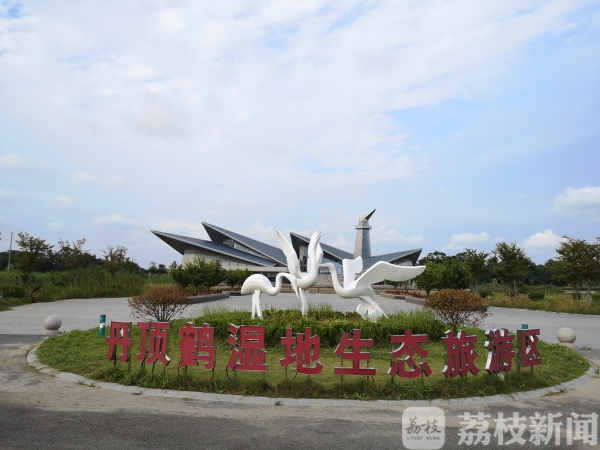 看花海、游森林、逛古街……盐城17家室外景区首批恢复开放