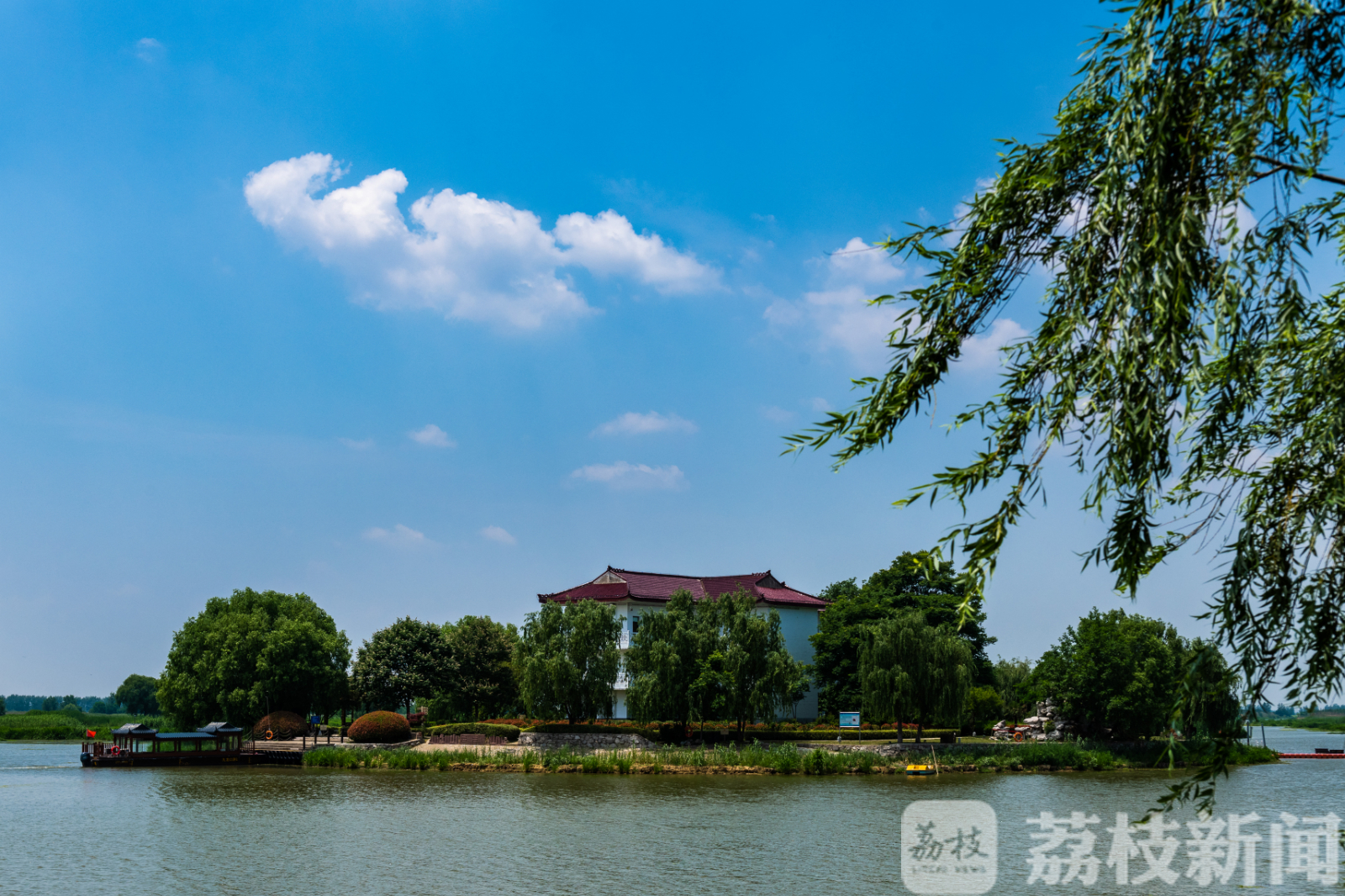 湿地■盐城九龙口：湿地修复引来万鸟栖息