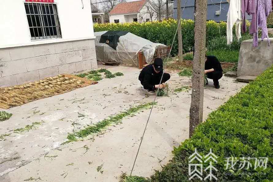 「禁毒」一张网全歼灭 盐城警方“禁毒除患”:一条线打到底