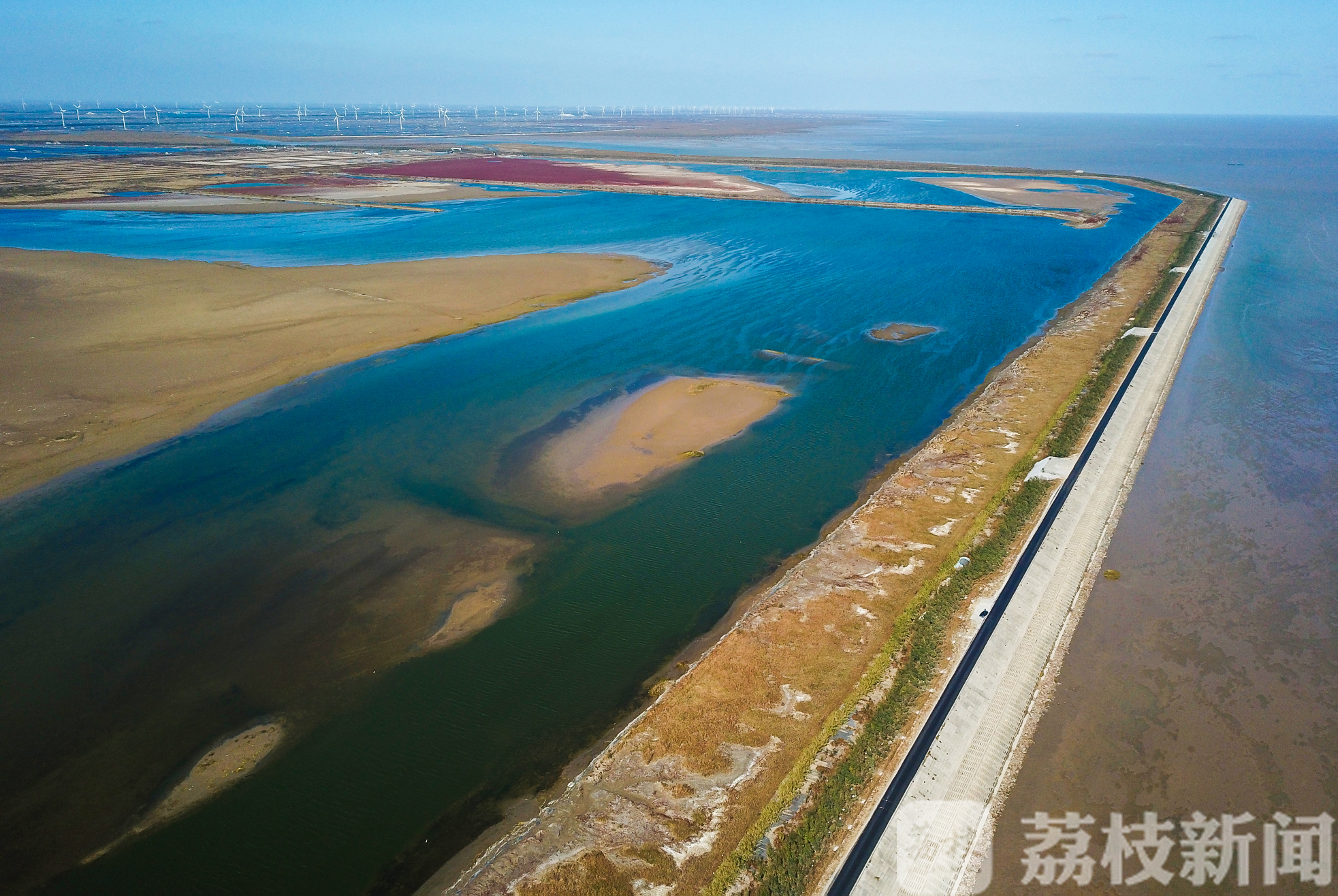盐城■鹿舞鹤鸣还看今朝!盐城:放大世遗效应,增创发展新优势