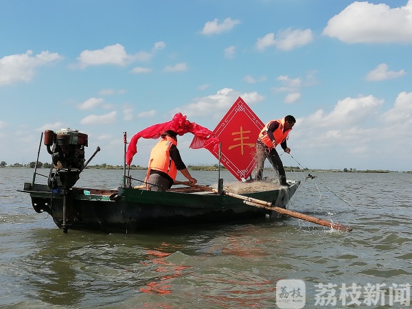 又到菊黄蟹肥时！大纵湖原生态养殖大闸蟹今日开捕