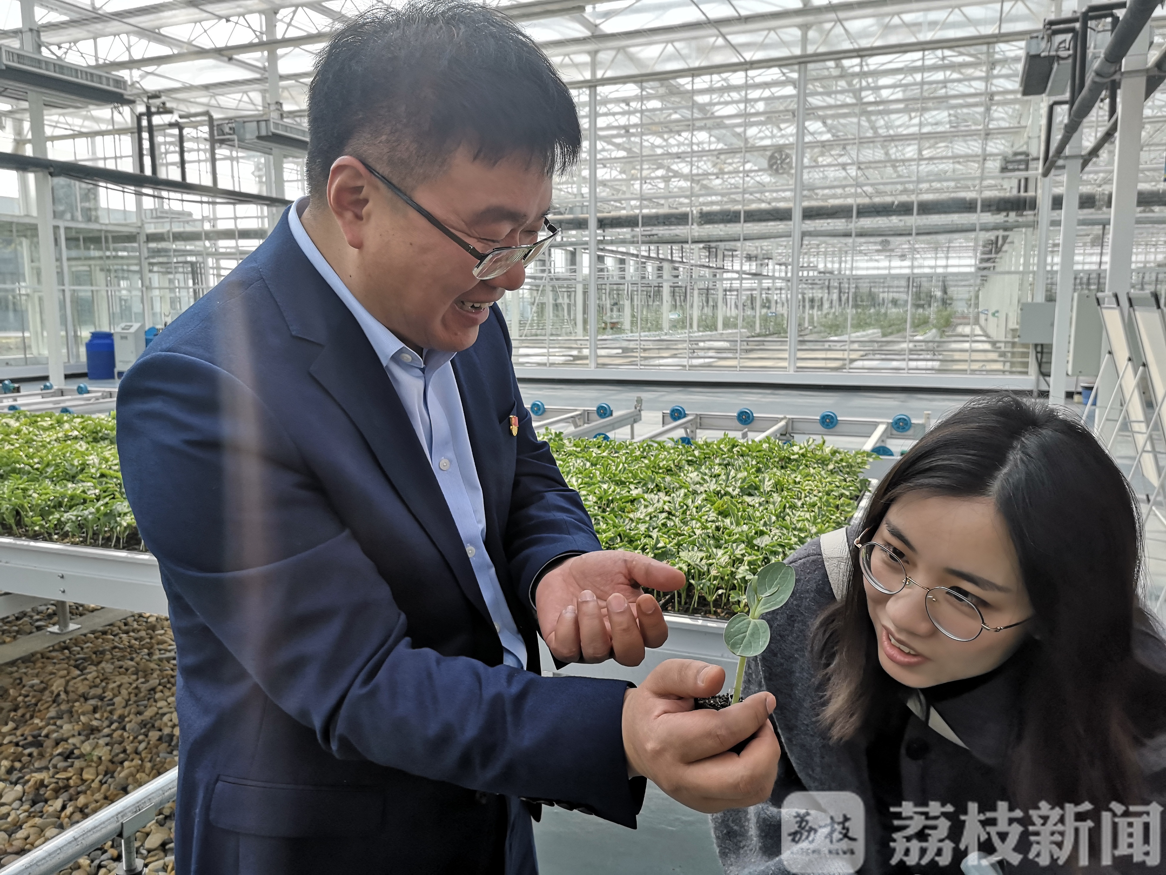 西瓜■东台兰址：昔日“拦路止”，今朝“楼在绿中、人在景中”特色田园村
