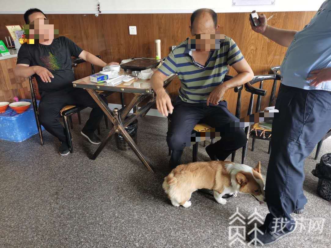 柯基■萌宠柯基引发一场“战争”，结果惊动了警察……