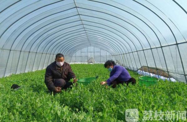 兴化构建农产品从田头到餐桌绿色通道