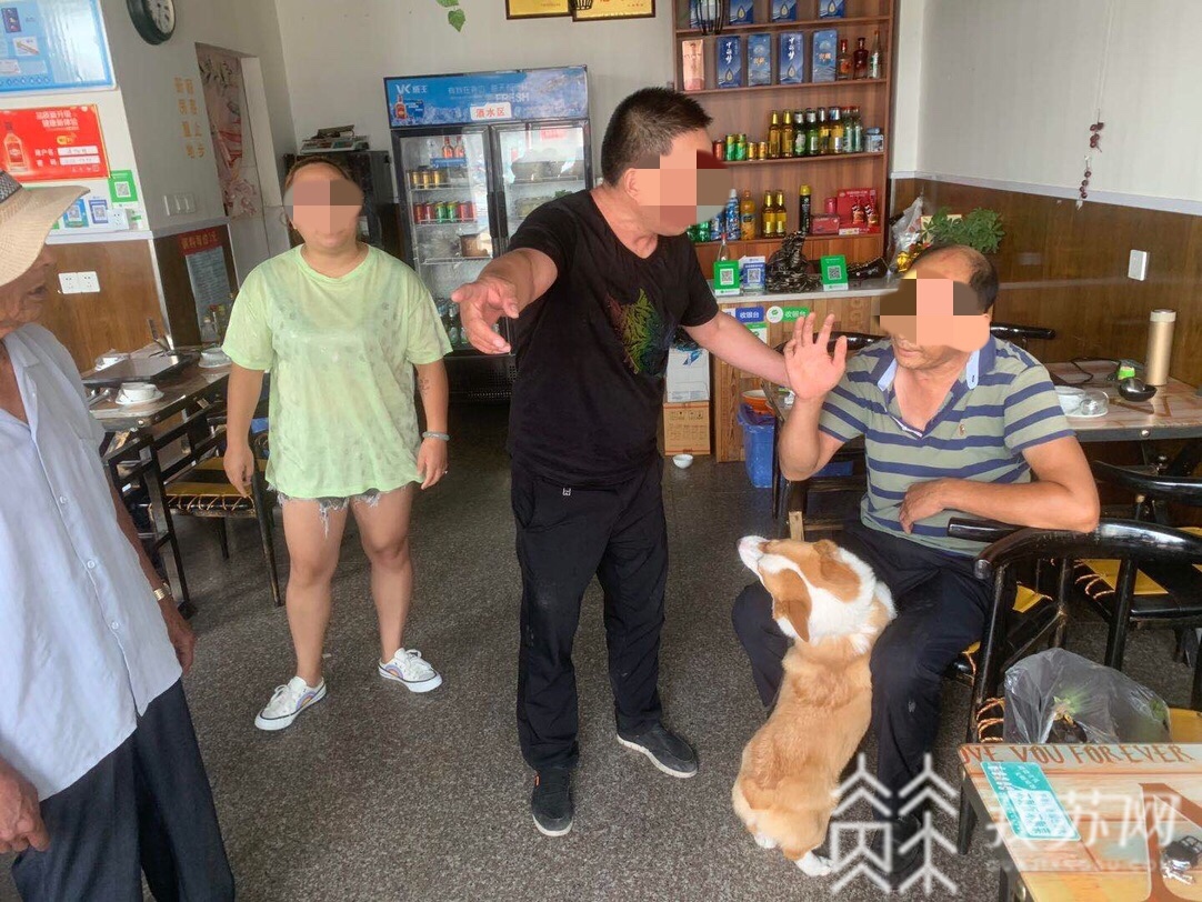 柯基■萌宠柯基引发一场“战争”，结果惊动了警察……