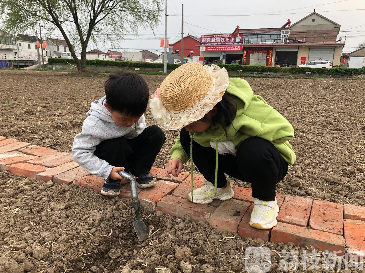 「体验」“假日菜园”泰州探索农业新业态帮助农民致富 “种采体验田”