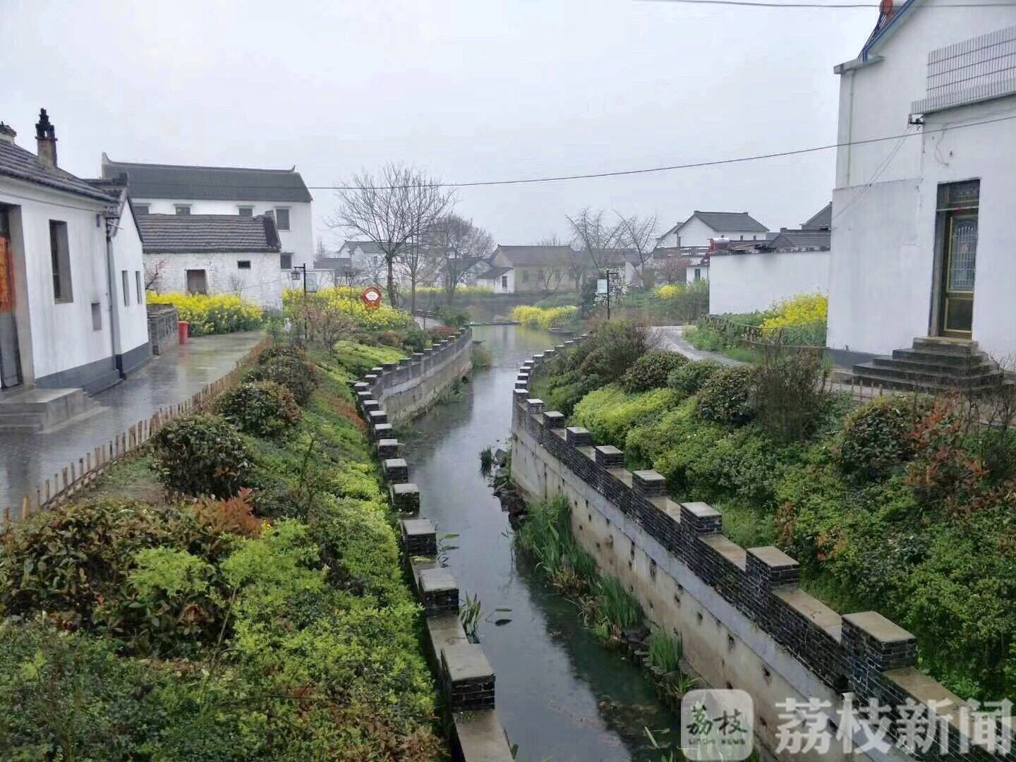 『兴化』致富百姓 兴化唐庄村：美丽风景