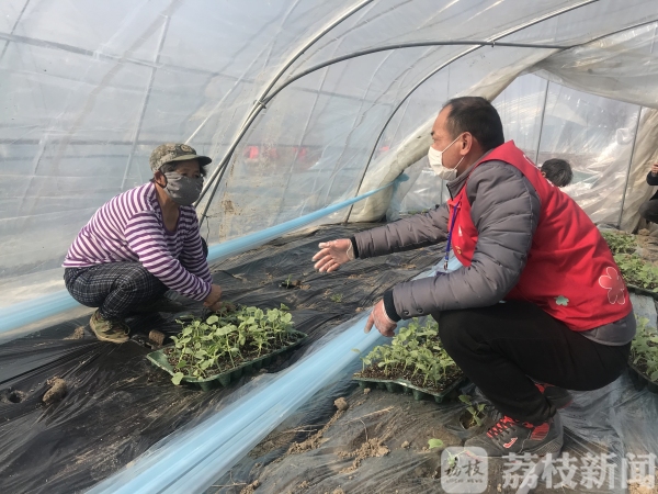 竭力避免“因疫返贫”  泰州海陵区苏陈镇帮“脱贫户”家门口就业