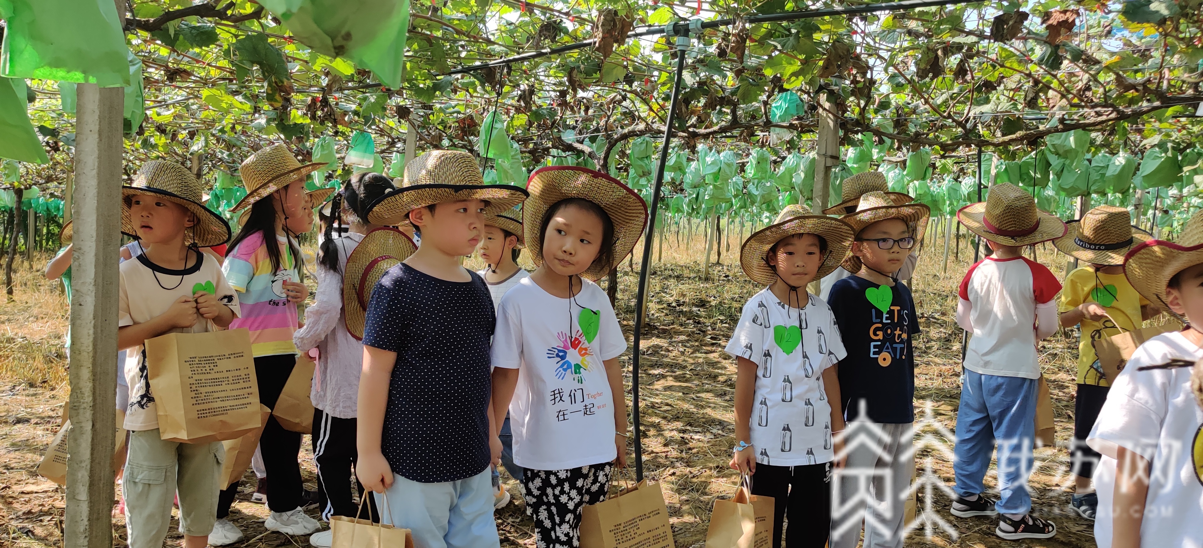 小学■江苏中小学丰富多彩的开学典礼,总有一款让你默默点赞!