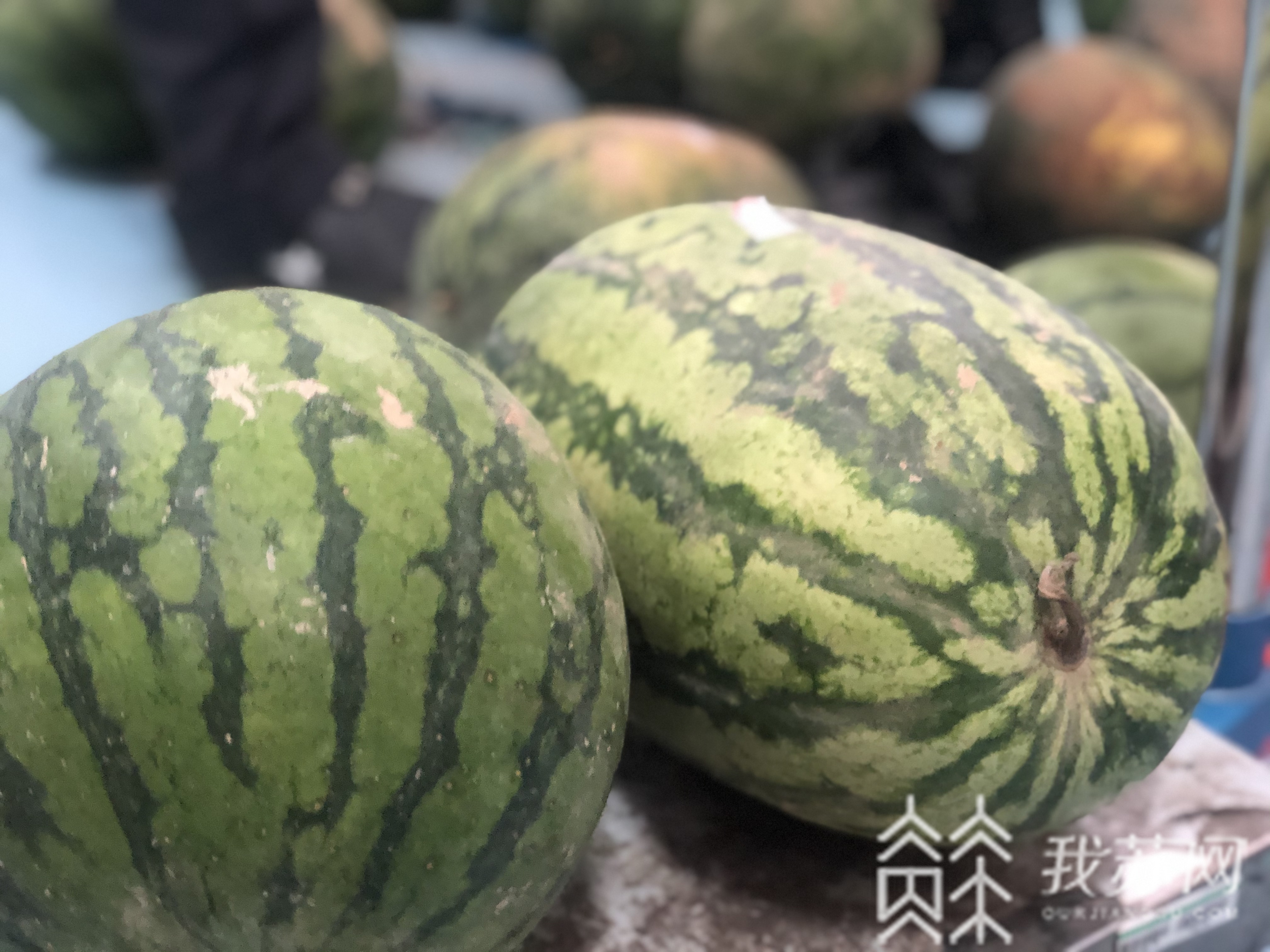 西瓜■汛情影响销路，南京中学老师帮助学校社工销售六千斤西瓜