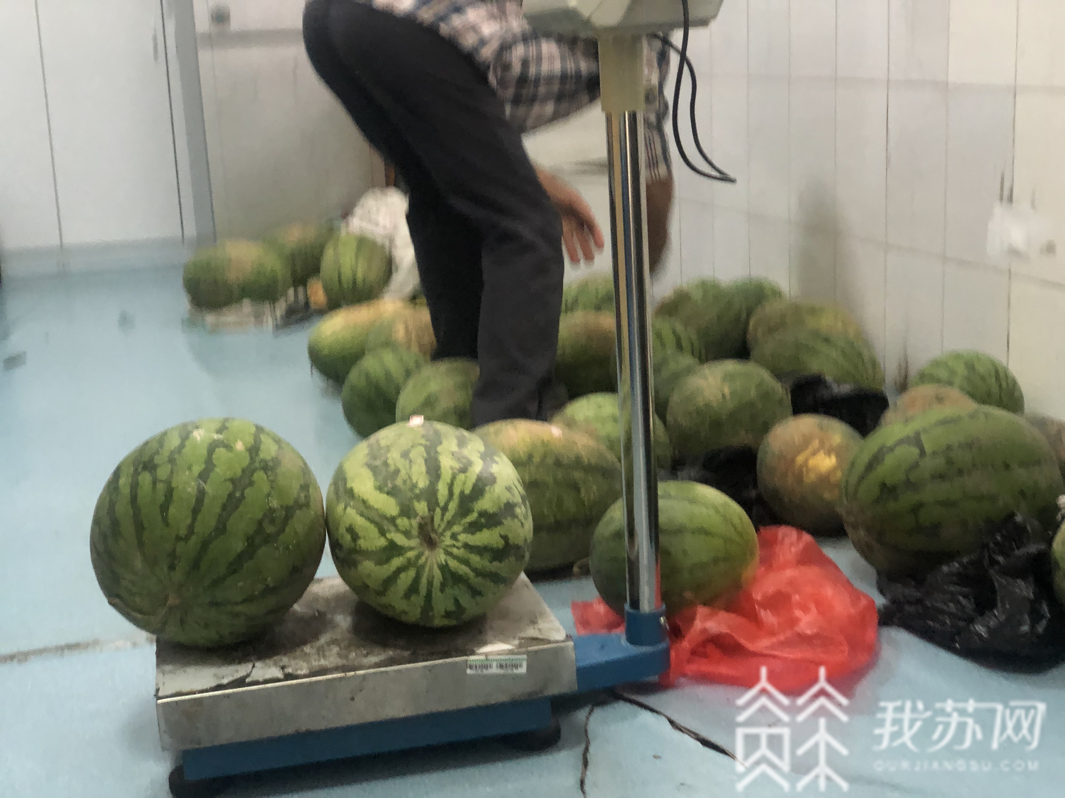 西瓜■汛情影响销路，南京中学老师帮助学校社工销售六千斤西瓜