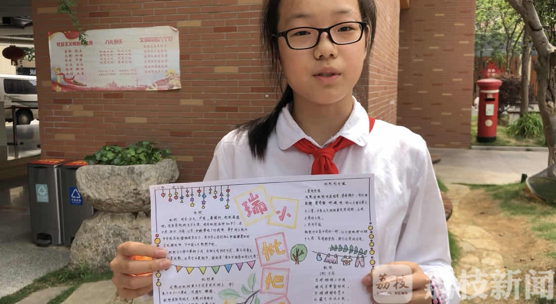 「枇杷」这所学校让孩子们来采摘 劳动教育成必修课:枇杷成熟了
