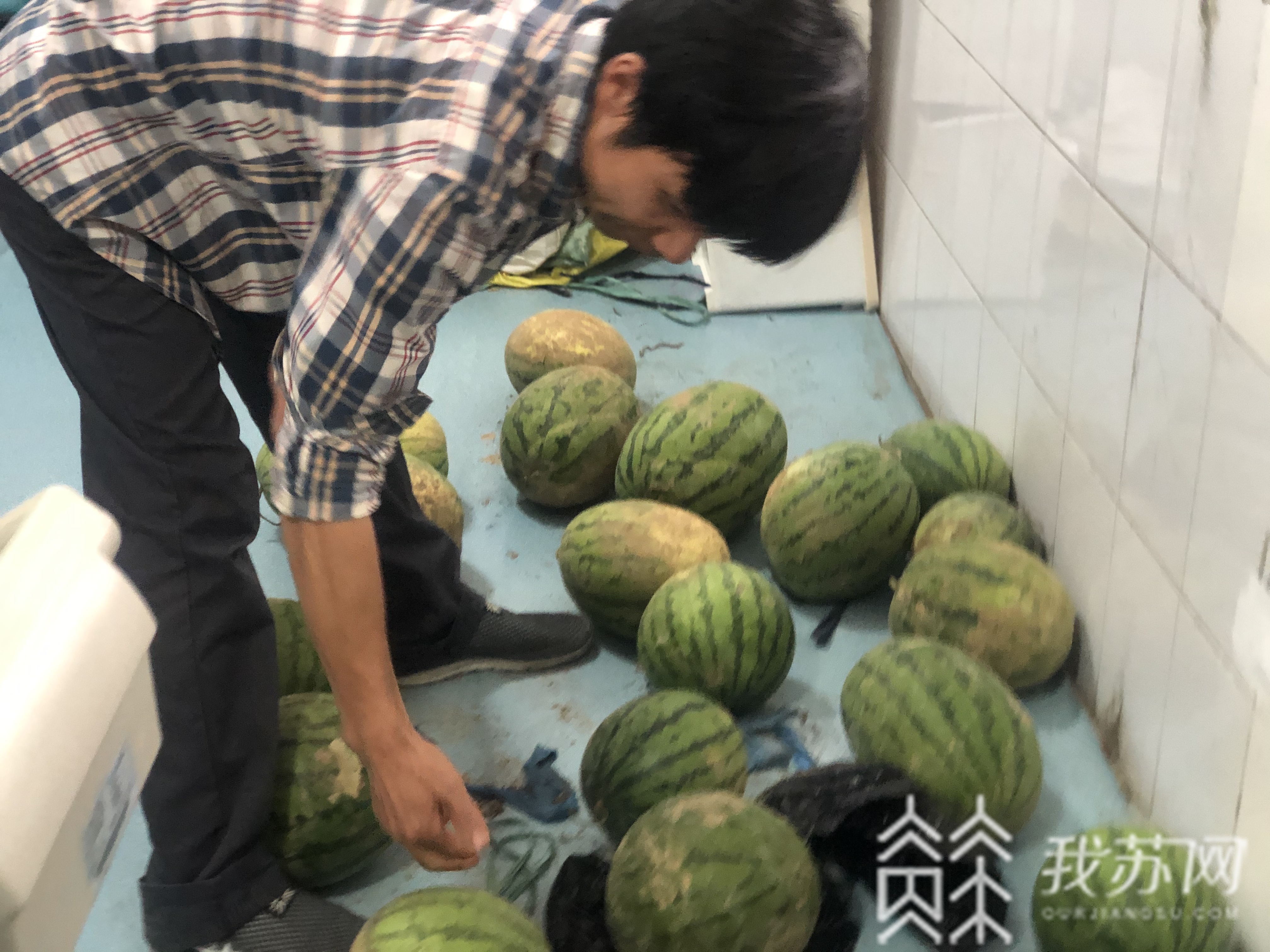 西瓜■汛情影响销路，南京中学老师帮助学校社工销售六千斤西瓜