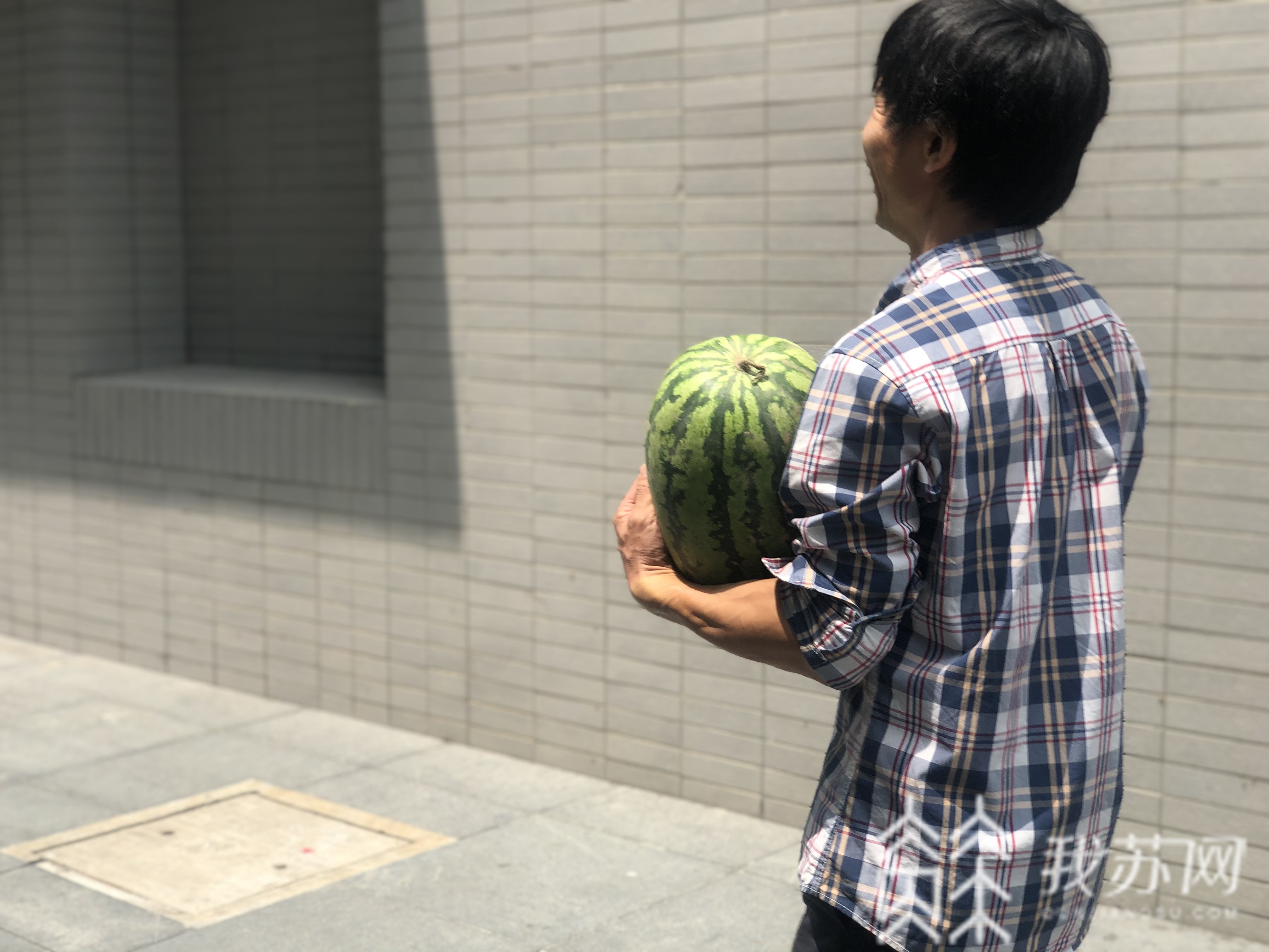 西瓜■汛情影响销路，南京中学老师帮助学校社工销售六千斤西瓜