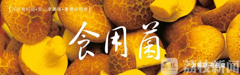 『企业』南京溧水为民企开启“菜篮子”直通车 保障种植户增收