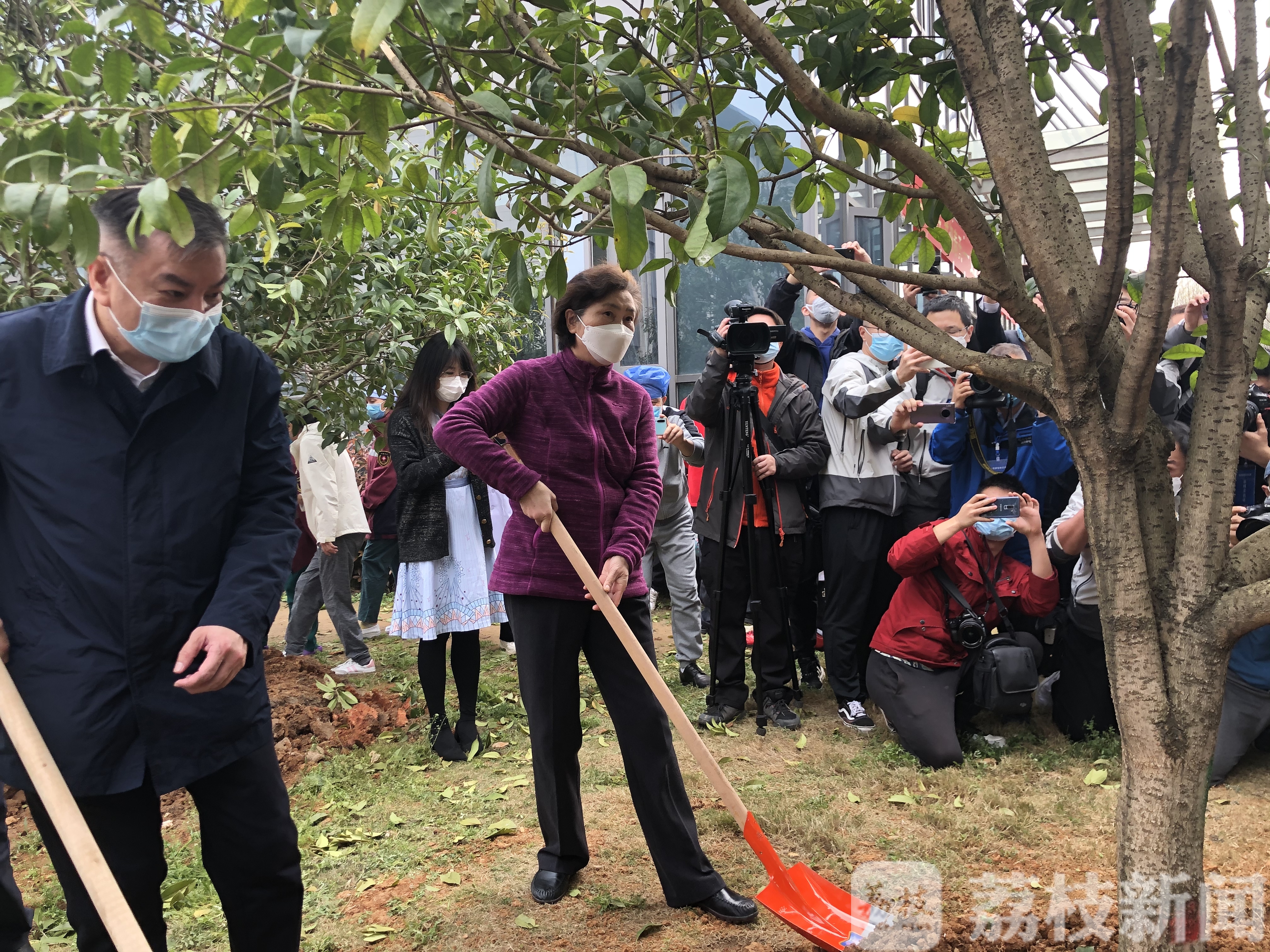 医疗队■直通武汉|李兰娟院士和南京鼓楼医院前方医疗队员共植“逆行天使林”