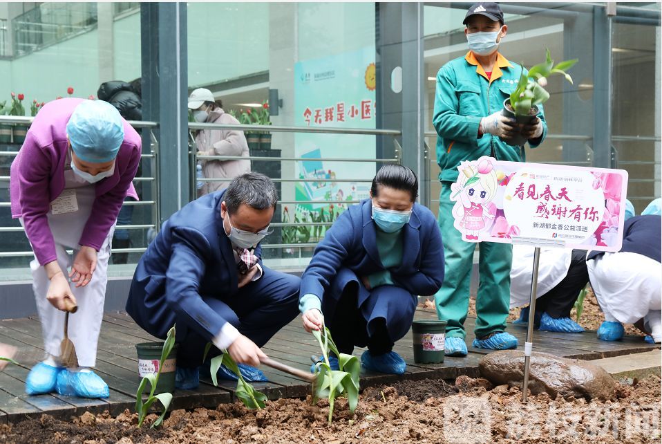 医院■医院里的花园：患者医生共享春天