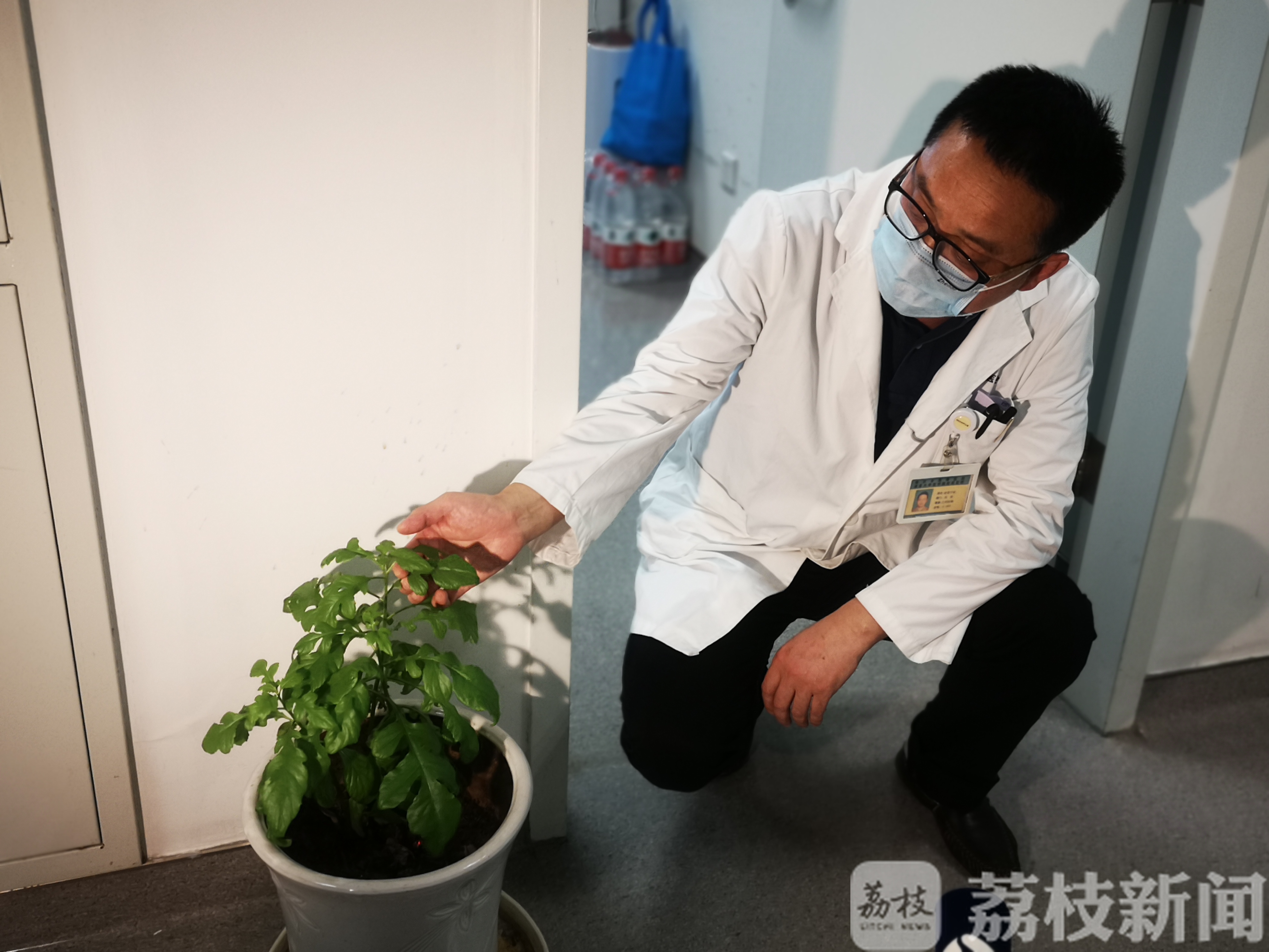 三七■“三七”、“土三七”一字之差,误服要人命!