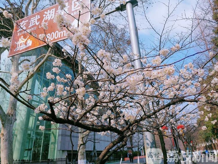 [我们] “生活不是我们活过的日子，而是我们记住的日子 武汉日志丨