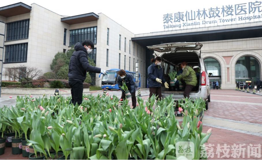 医院■医院里的花园：患者医生共享春天