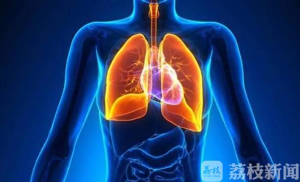 春季■春季养生：记住这些，可增强“肺气”，百病才不生！