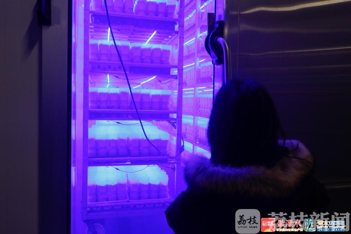 『企业』南京溧水为民企开启“菜篮子”直通车 保障种植户增收